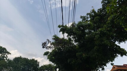 This photo captures overhead power lines stretched across a bright sky with lush green trees below, creating a natural–urban contrast. Ideal for use in energy themes, infrastructure projects,