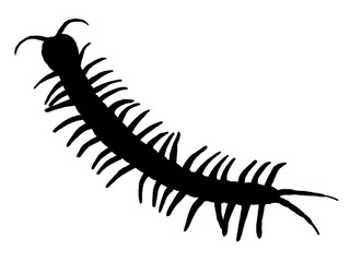 ムカデ（シルエット）