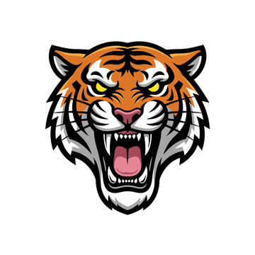 Harimau liar margasatwa kepala macan potret bergaris kucing besar vektor