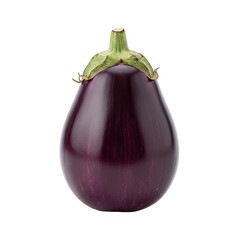 One Single Fresh Purple Eggplant with Green Stem Isolated on Black Background Studio Shot Glossy Texture