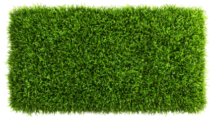 Green grass texture square isolated on transparent background