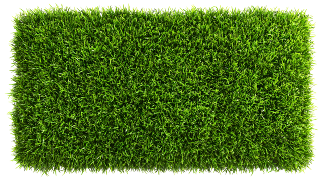 Green grass texture square isolated on transparent background - Powered by Adobe