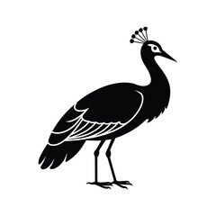 Silhouette of a peacock bird with crest on white background