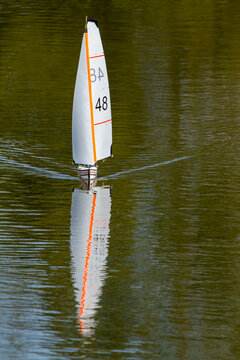 Remote controlled yacht sailing on a suburban lake.