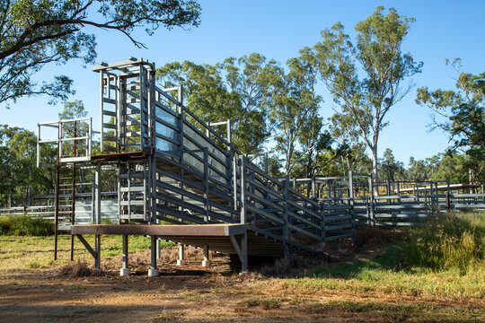 Metal loading ramp at cattle yards.