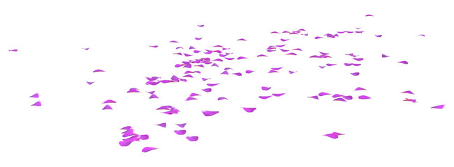 Scattered Purple Geranium Petals, low angle ground view
3D, illustration