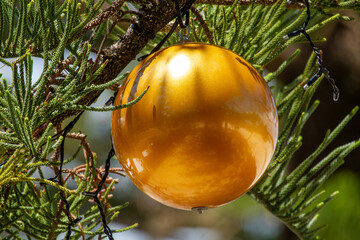 Giant Christmas baubles and decorations on tree.