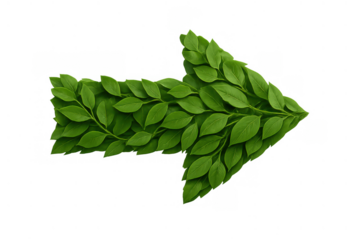 Green leaves forming an arrow pointing right, symbolizing eco-friendly direction, growth, and sustainable progress on transparent background