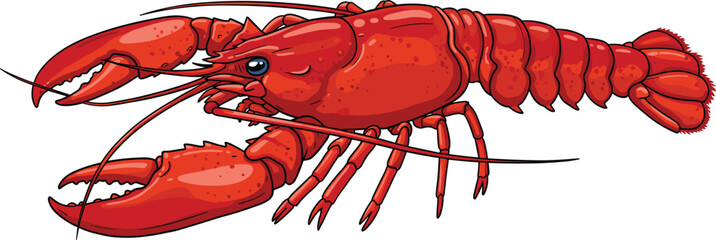 Lobster illustration, red crustacean, marine animal, seafood art, ocean creature, detailed drawing, aquatic life, shellfish anatomy, food design