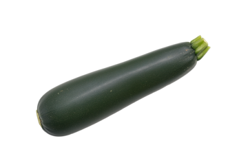 Single elongated zucchini with dark green skin and lighter green stem on transparent background