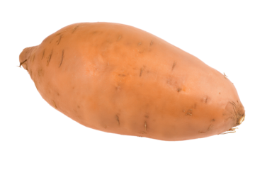 Single whole sweet potato with smooth orange-brown skin on transparent background
