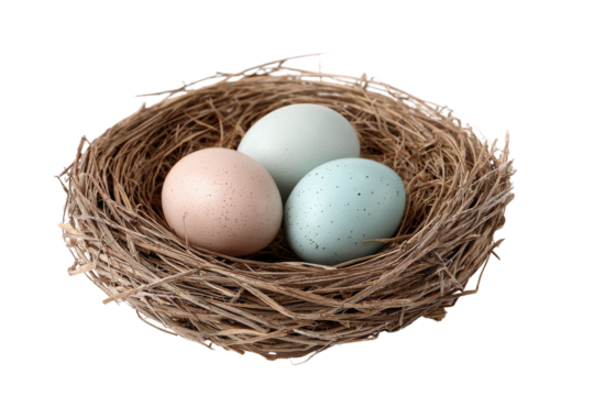 Three speckled pastel colored eggs nestled in a woven straw bird nest image, Png, Isolated on Transparent Background, Cut Out