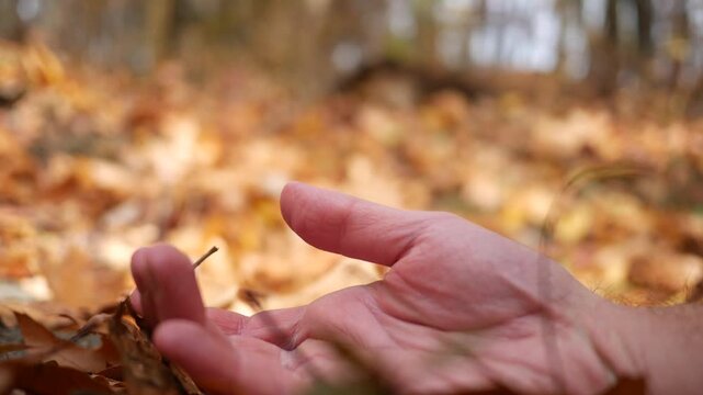 Crime Series - Hand of Dead Body in Autumn Park