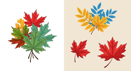 Colorful Autumn Leaves A Variety of Maple and Assorted Fall Foliage