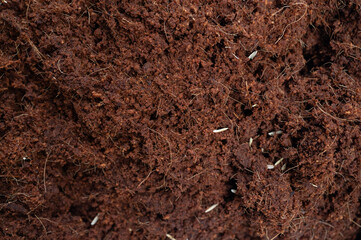 Full frame shot of Coconut husk (or coir) texture and background. Coir absorbs and holds a large amount of water, keeping plants hydrated and reducing the frequency of watering.