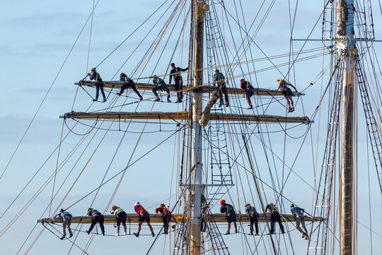 Sailing crew aloft on yards of STS Leeuwin II.