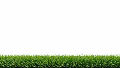 Artificial green grass bottom border — isolated on transparent png background
