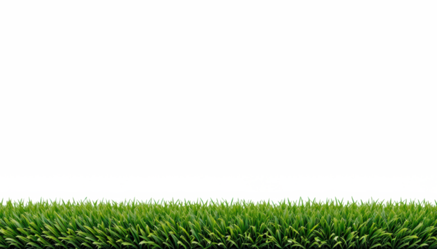 Artificial green grass bottom border — isolated on transparent png background