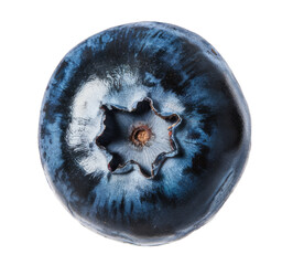 close-up of fresh blueberry on white background