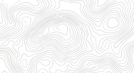 Topographic Map Lines Abstract Relief Contour Design on White