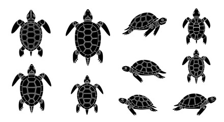 Collection of stylized black sea turtles with intricate shell patterns, displayed in various dynamic poses for captivating marine life designs. © amni