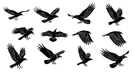 Dynamic collection of black ravens in various flight poses, showcasing intricate circuit board patterns on wings for a modern, tech-infused avian theme.