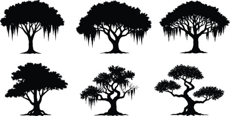 Tree silhouettes set, diverse forest shapes, hanging moss, wide canopies, thick trunks, compact foliage, twisted branches, botanical collection, nature design elements, vector illustration © MdShahin