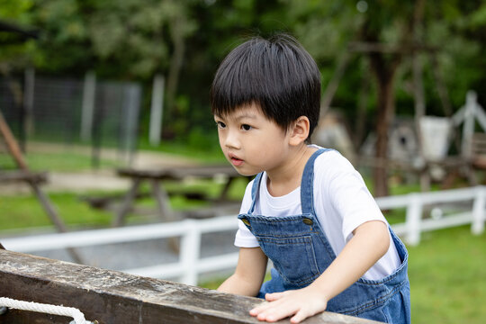 Asian Curious child outdoor play toddler boy denim overall focused expression playground summer day green park wooden structure hands grip learning balance