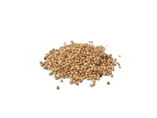 Dried coriander seeds isolated on white background. High angle view 
