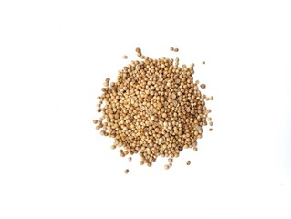 Dried coriander seeds isolated on white background. Flat lay 