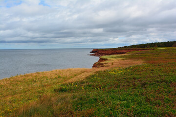Coastal Clifftop View of the Ocean and Red Sandstone Shoreline