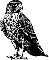silhouette of an eagle svg