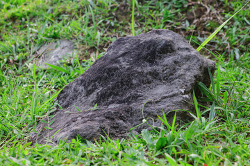 A fairly large stone with a rough surface, the stone is surrounded by green grass, with a background of slightly elevated land