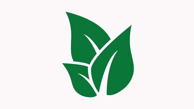 leaf  icon animation  illustration simple flat