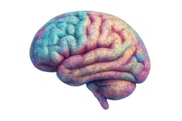 Human brain representing mind, intelligence, creativity, learning, and thought process in vibrant colors