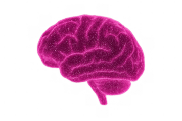 Vibrant pink 3d rendering of human brain showing complex thought, artificial intelligence, and neuroscience concepts