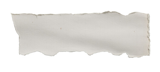 torn paper edge, isolated on white background.
