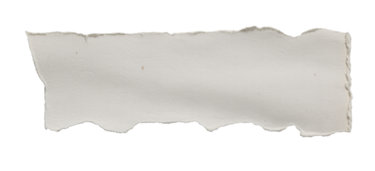 torn paper edge, isolated on white background.