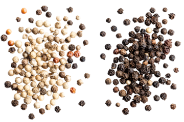 Two Peppers Beside Each Other PNG