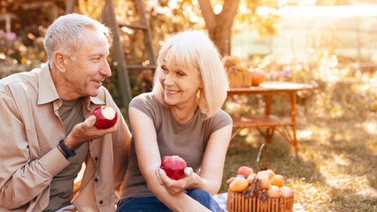 An elderly couple smiles at each other while holding apples in a beautiful garden. The sun sets, creating a warm glow as they enjoy their time picking fruit surrounded by nature.