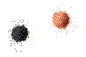 Different Rice Varieties Displayed Side by Side PNG