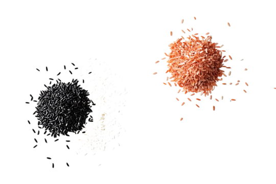 Different Rice Varieties Displayed Side by Side PNG