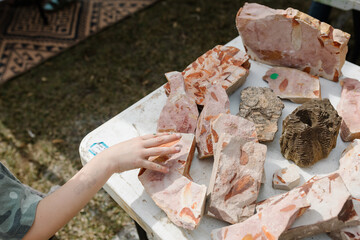 Childs hand touching a piece of broken rock with fossils fossilised inside