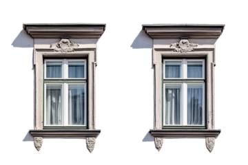 Paired Windows With Spacing PNG