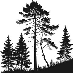 Silhouette of coniferous trees on a hill forest with fir, pine and spruce trees black and white vector illustration of woodland landscape