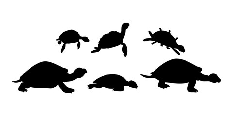 Set of silhouette turtles in various poses on white background.