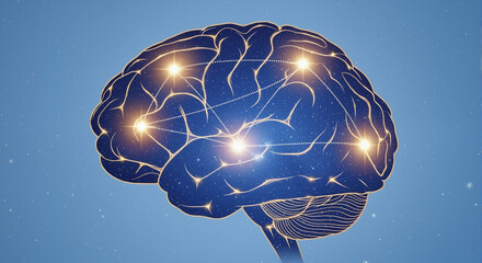 Neural Network Illustration