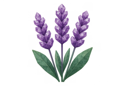 Lavender plant with purple crystal blossoms illustration on transparent background, symbolizing magic and spirituality