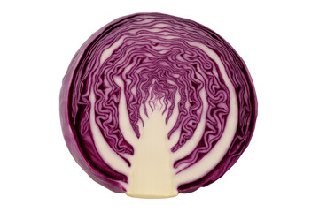 Obraz premium Red cabbage half cut, presenting the interior layers and texture, a natural ingredient for vegetarian cuisine