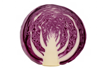 Red cabbage half cut, presenting the interior layers and texture, a natural ingredient for vegetarian cuisine